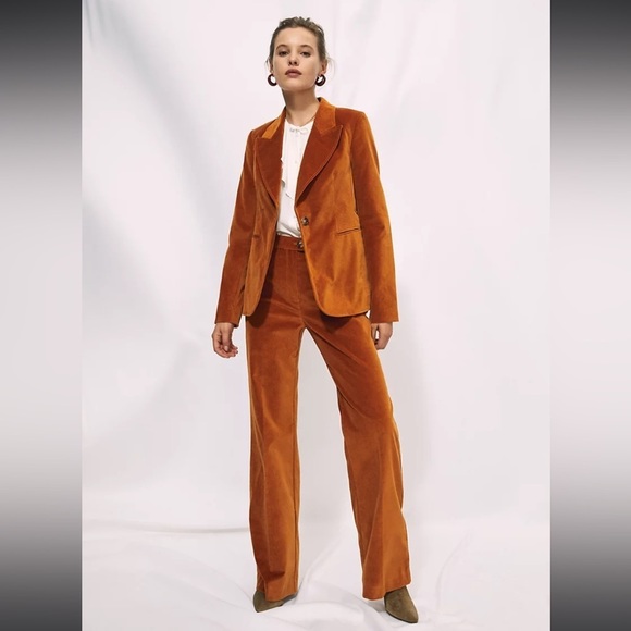 Aritzia Pants - ARITZIA Wilfred Francesca Velvet Pants Size 2